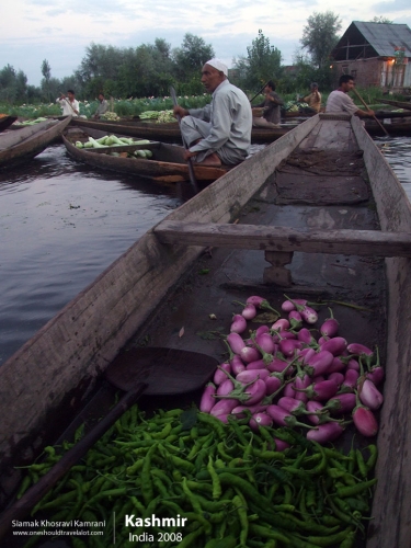 India, Kashmir, Siamak Travels 25