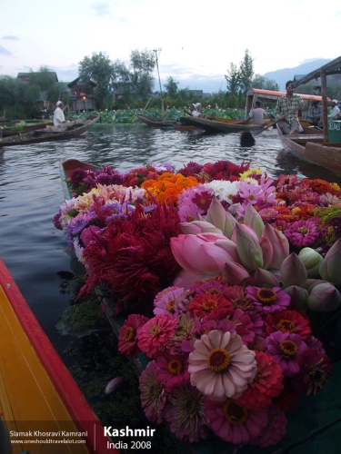 India, Kashmir, Siamak Travels 26