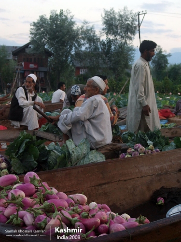 India, Kashmir, Siamak Travels 28