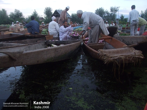 India, Kashmir, Siamak Travels 29