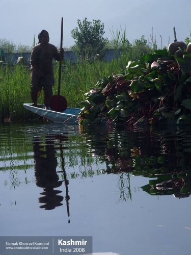 India, Kashmir, Siamak Travels 40