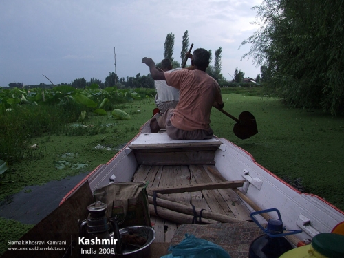 India, Kashmir, Siamak Travels 50