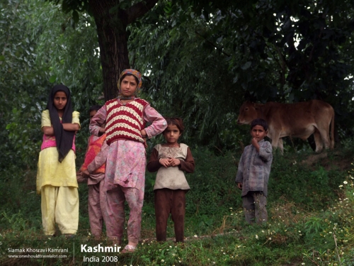 India, Kashmir, Siamak Travels 60