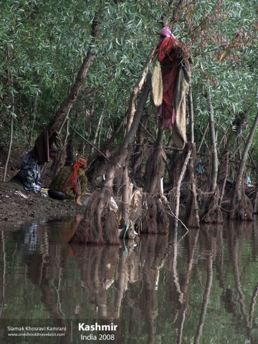 India, Kashmir, Siamak Travels 63