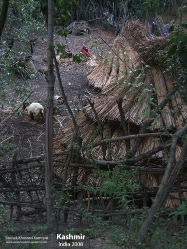 India, Kashmir, Siamak Travels 67