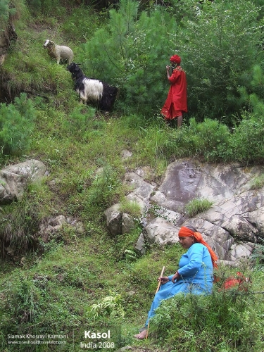 India, Kasol, Siamak Travels 3