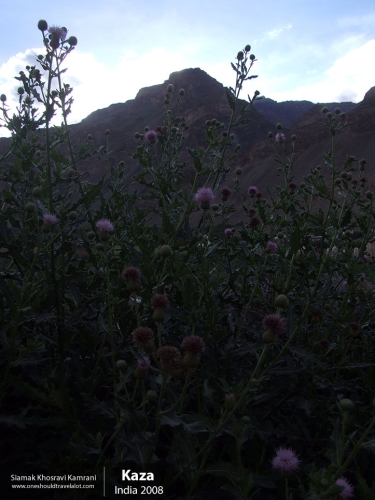 India, Kaza, Siamak Travels 13