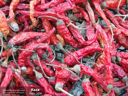 India, Kaza, Siamak Travels 15