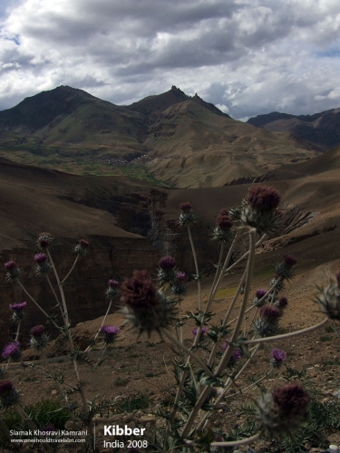 India, Kibber, Siamak Travels 10