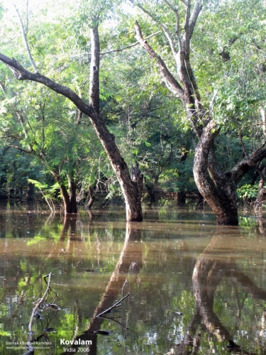 India, Kovalam, Siamak Travels 4
