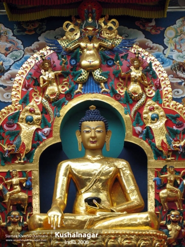 India, Kushalnagar, Siamak Travels 10