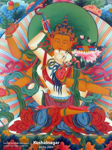 India, Kushalnagar, Siamak Travels 17