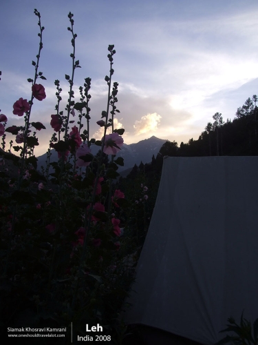 India, Leh, Siamak Travels 04