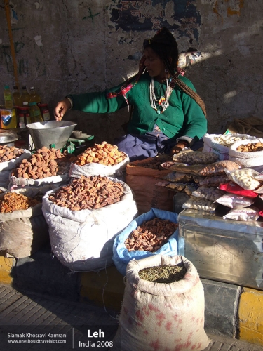 India, Leh, Siamak Travels 24