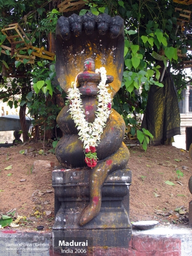 India, Madurai, Siamak Travels 05