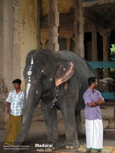 India, Madurai, Siamak Travels 07