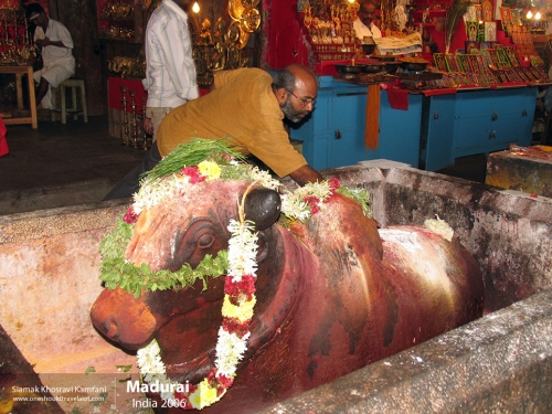 India, Madurai, Siamak Travels 10