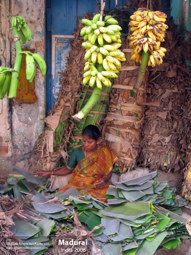 India, Madurai, Siamak Travels 31