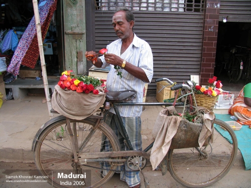 India, Madurai, Siamak Travels 37