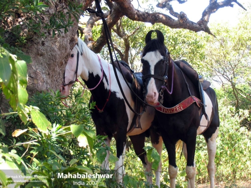 India, Mahabaleshwar, Siamak Travels 01