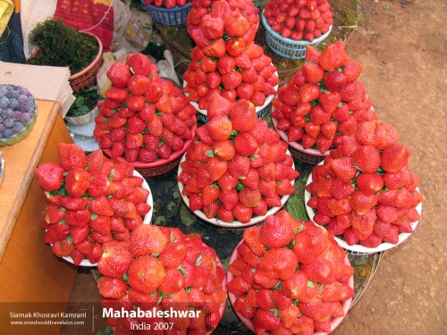 India, Mahabaleshwar, Siamak Travels 03