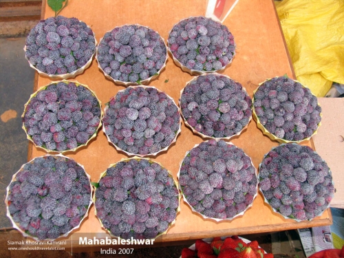 India, Mahabaleshwar, Siamak Travels 04