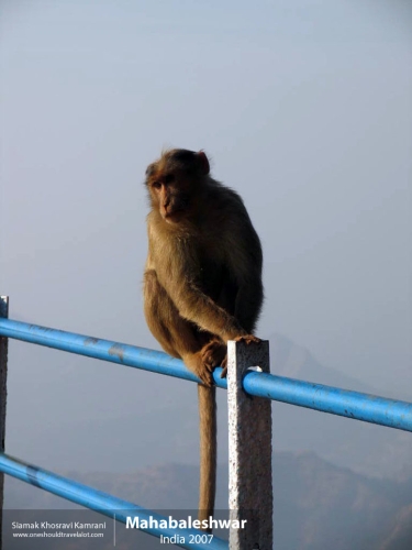 India, Mahabaleshwar, Siamak Travels 08