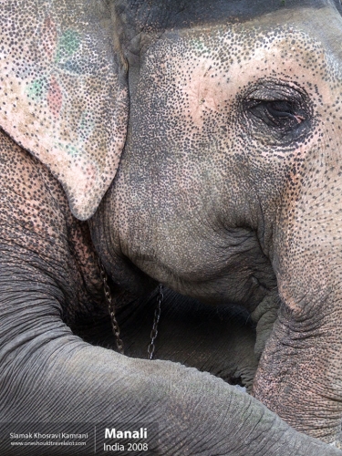 India, Manali, Siamak Travels 06