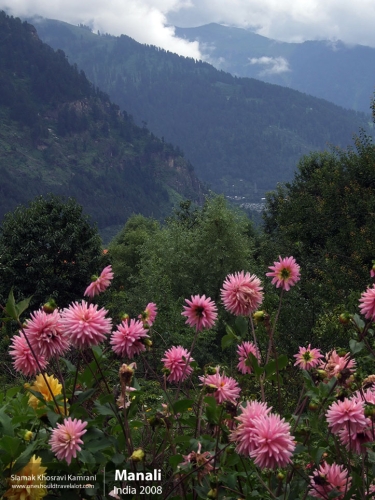 India, Manali, Siamak Travels 17