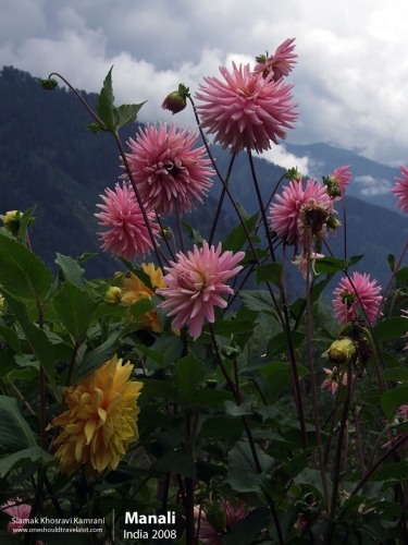 India, Manali, Siamak Travels 18