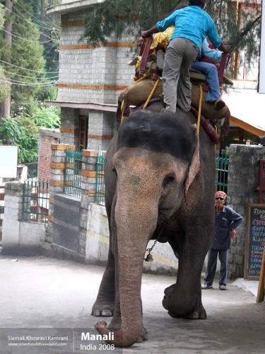 India, Manali, Siamak Travels 20