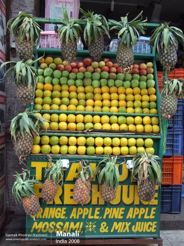 India, Manali, Siamak Travels 23