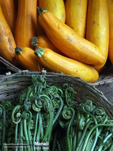 India, Manali, Siamak Travels 25