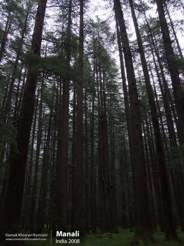 India, Manali, Siamak Travels 32