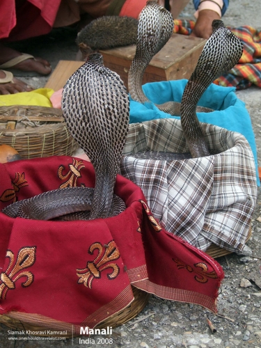 India, Manali, Siamak Travels 36