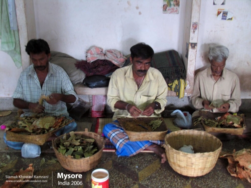 India, Mysore, Siamak Travels 01