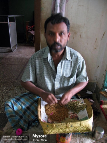 India, Mysore, Siamak Travels 02