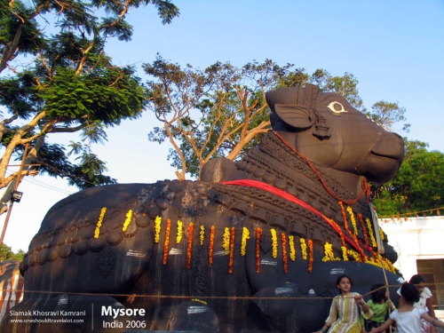 India, Mysore, Siamak Travels 12