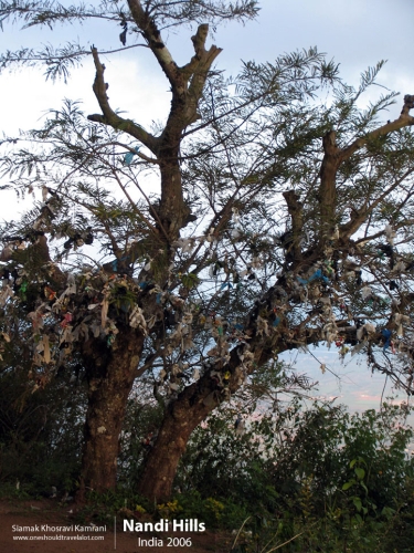 India, Nandi Hills, Siamak Travels 5