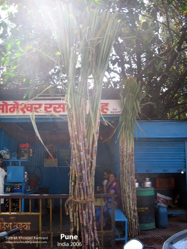 India, Pune, Siamak Travels 04