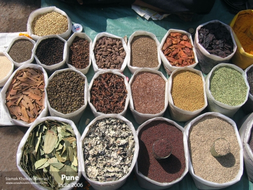 India, Pune, Siamak Travels 09