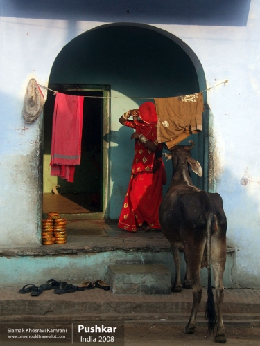 India, Pushkar, Siamak Travels 04
