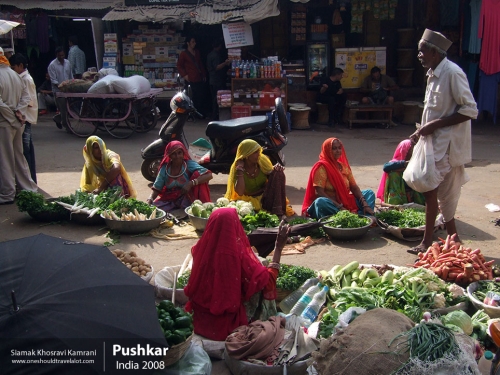 India, Pushkar, Siamak Travels 07