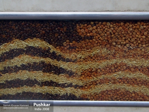 India, Pushkar, Siamak Travels 16