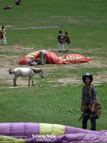 India, Solang Nala, Siamak Travels 01