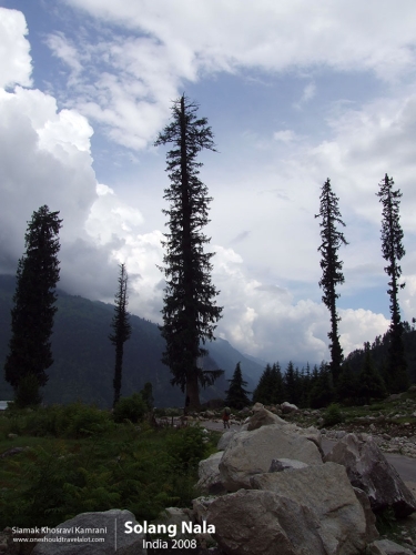 India, Solang Nala, Siamak Travels 06