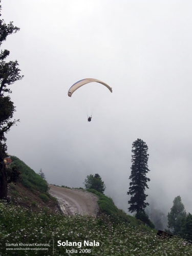 India, Solang Nala, Siamak Travels 10