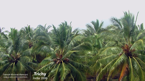 India, Trichy, Siamak Travels 3
