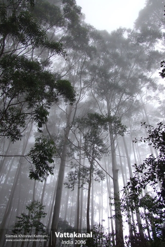 India, Vattakanal, Siamak Travels 02