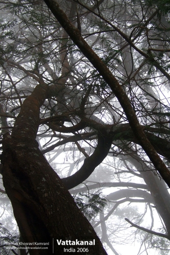 India, Vattakanal, Siamak Travels 04